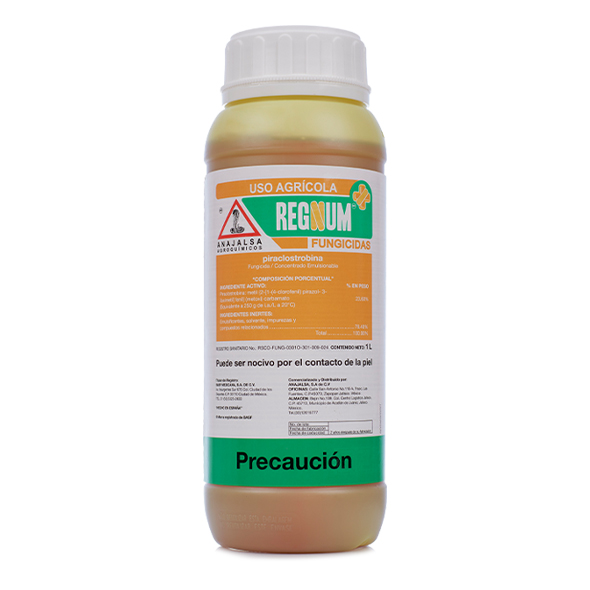 Regnum 1L